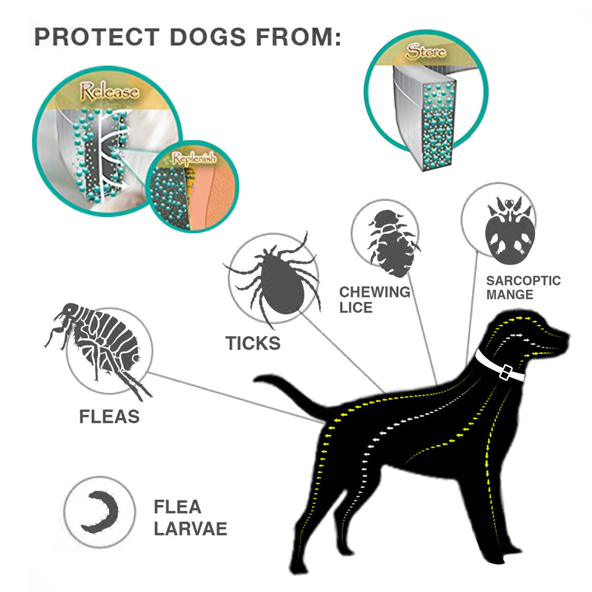 Pet Killing Flea Mosquito Repellent Natural Deworming Essential Oil Dog Pet Collar Healthy Materials Adjustable Anti Insect
